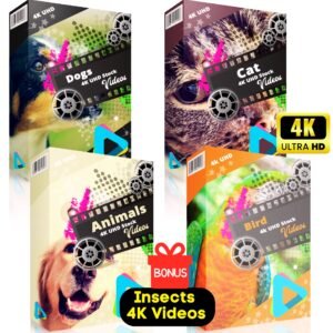 Dog, Cat, Animals, Birds 4K UHD Stock Videos