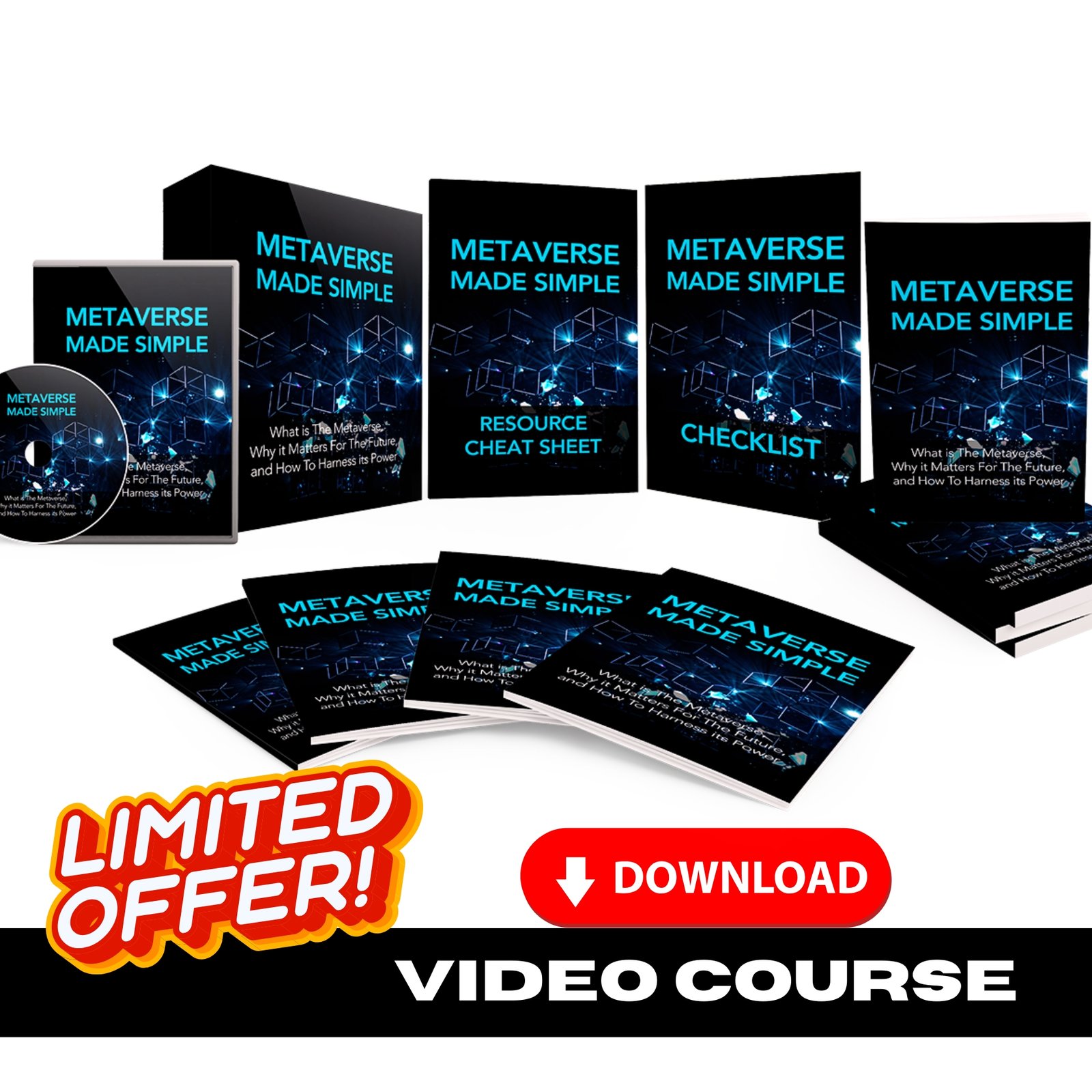 Metaverse Made Simple Upgrade Package (Video Course)