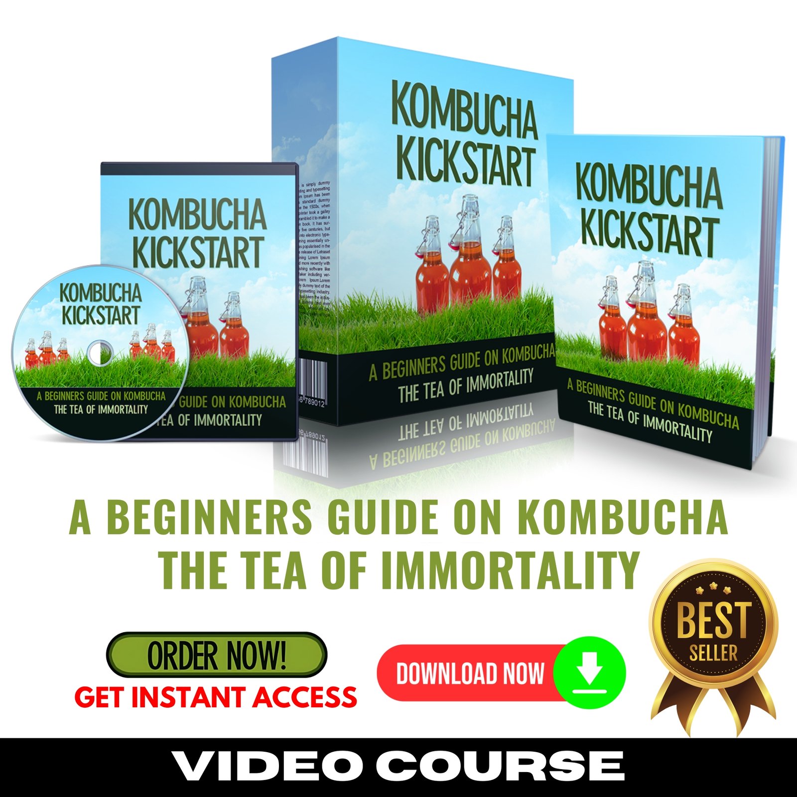 Kombucha Kickstart (Masterclass Video Course)