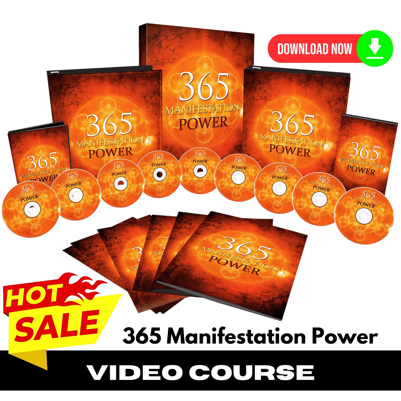 365 Manifestation Power Upgrade Package (Masterclass Video Course)